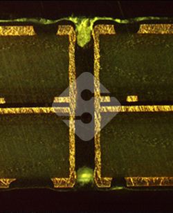 瓦力游戏| 官网 -瓦力出品,必属精品