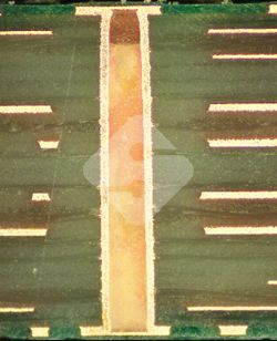 瓦力游戏| 官网 -瓦力出品,必属精品