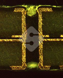 瓦力游戏| 官网 -瓦力出品,必属精品